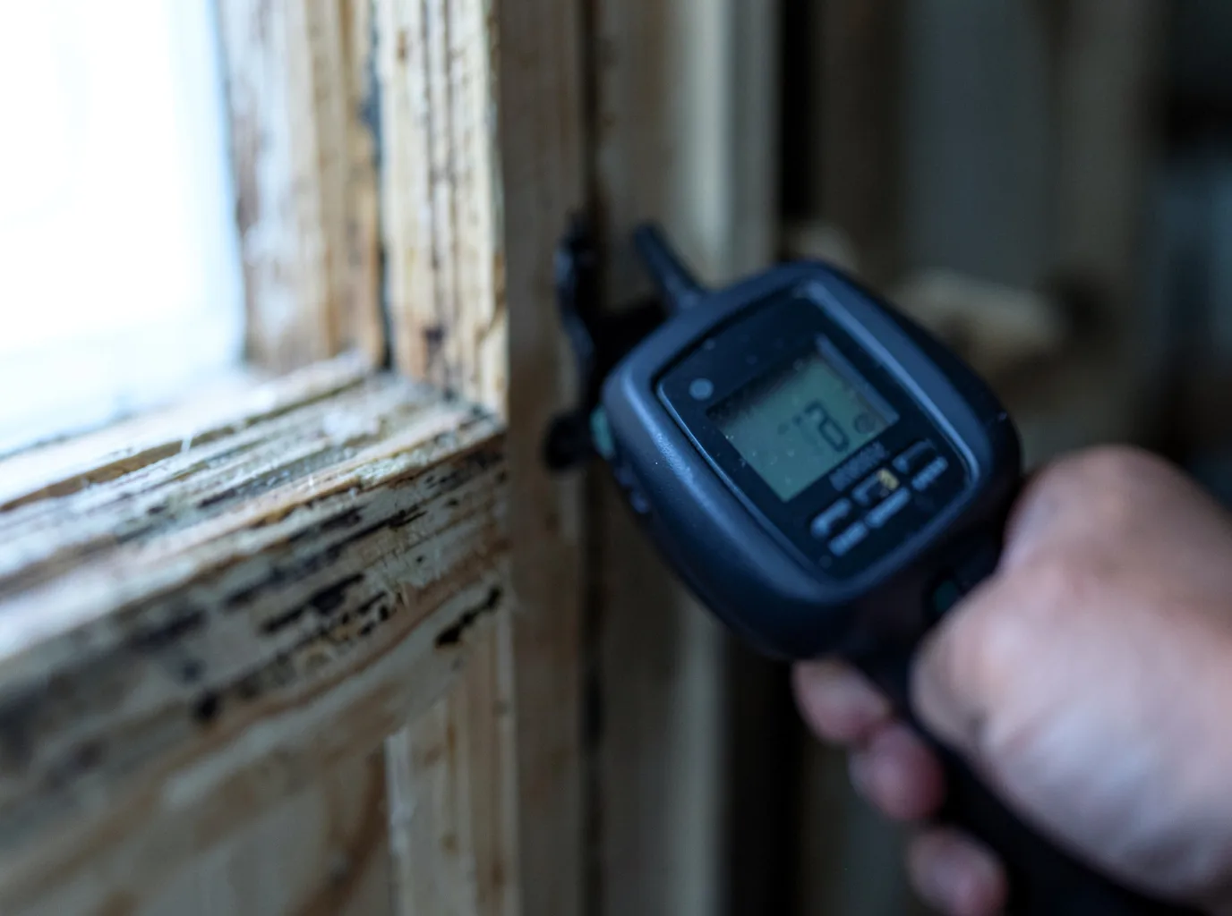 Moisture Inspection And Documentation in Truro, IA